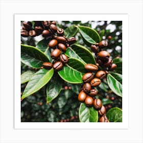 Coffee Beans 17 Art Print