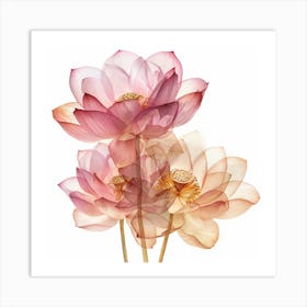 Lotus2 Art Print