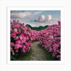 Pink Roses 1 Art Print