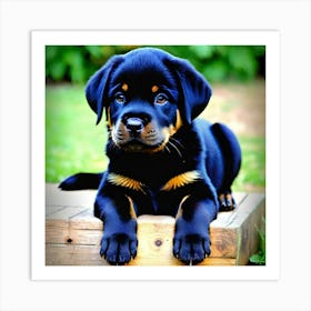 Rottweiler Puppy Art Print