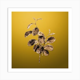 Gold Botanical Alpine Buckthorn Plant on Mango Yellow n.1349 Art Print