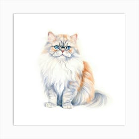 British Longhair Cat Portrait Art Print