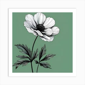 Anemone Canvas Print Art Print