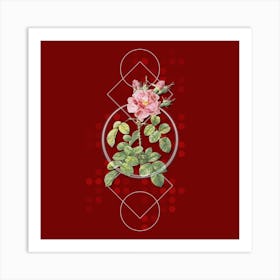 Vintage Four Seasons Rose in Bloom Botanical with Geometric Line Motif and Dot Pattern n.0260 Art Print