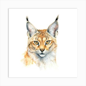 Desert Lynx Cat Portrait 1 Art Print