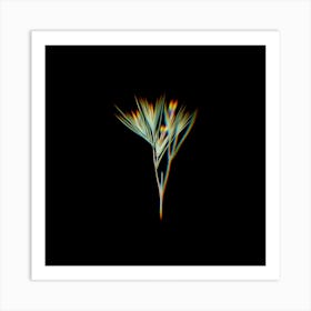 Prism Shift Witsenia Maura Botanical Illustration on Black n.0206 Art Print
