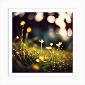 Bokeh, Bokeh Photography, Bokeh Art Print