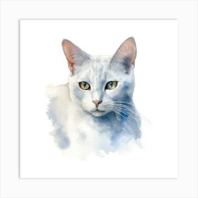 Burmilla Cat Portrait Art Print