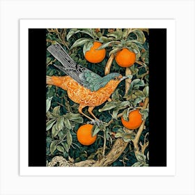 Robin In The Orange Tree Art Print