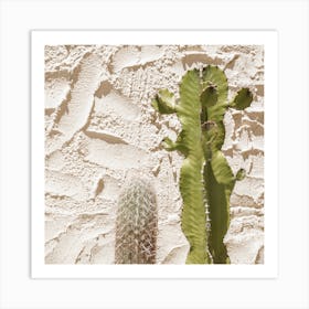 Cactus Plants Square Art Print