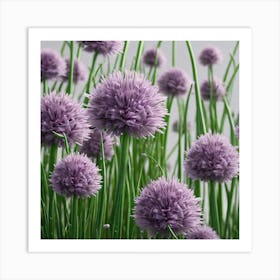 Purple Chives 1 Art Print