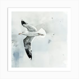 A Seagull Flying High Art Print