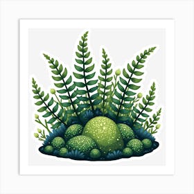 Ferns Art Print