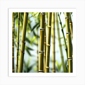 Bamboo Forest 3 Art Print