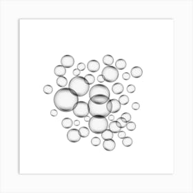 Bubbles On A White Background Poster