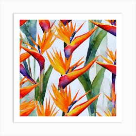 Bird Of Paradise Art Print