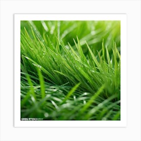 Grass Background 46 Art Print