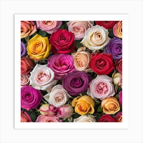 Colorful Roses 2 Art Print