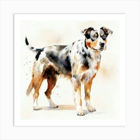 Australian Shepherd Art Print