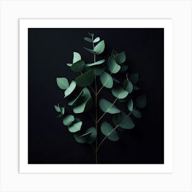 Eucalyptus Leaves On Black Background Art Print