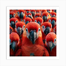 Red Parrots Art Print