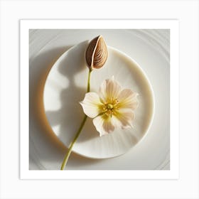 Flower On A Plate Art Print