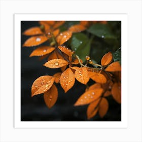 Raindrops On Orange Leaves Art Print