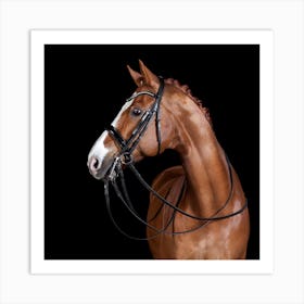 Bridle Art Print