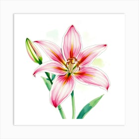 Pink Lily 12 Art Print