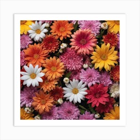 Colorful Flowers - Flower Stock Videos & Royalty-Free Footage Art Print