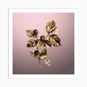 Gold Botanical Carolina Allspice Flower on Rose Quartz n.3008 Art Print
