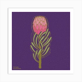 Protea Flower Square Art Print