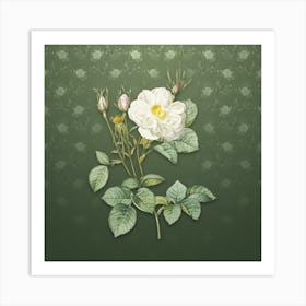 Vintage White Rose of York Botanical on Lunar Green Pattern n.0961 Art Print