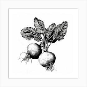 Beets Art Print