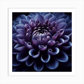 Purple Dahlia Art Print