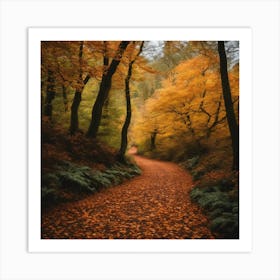 Autumn In The Woods 1 Art Print