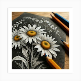 Daisies 8 Art Print