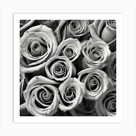 Black And White Roses 22 Art Print