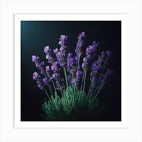 Lavender Flowers On Black Background 3 Art Print