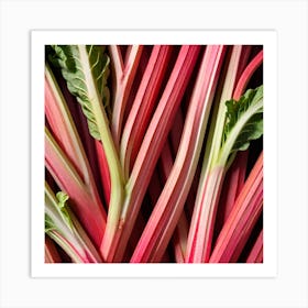 Rhubarb 4 Art Print