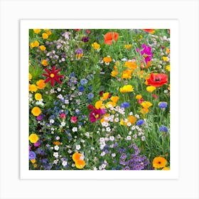 Summer flowers Art Print