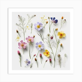 Dried Wild Flowers 14 Art Print