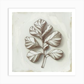 Eucalyptus Leaf Art Print