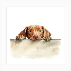 Vizsla Dog Art Print