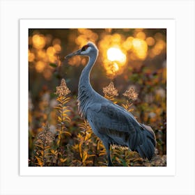 Sandhill Crane At Sunset Art Print