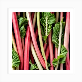 Rhubarb 71 Art Print