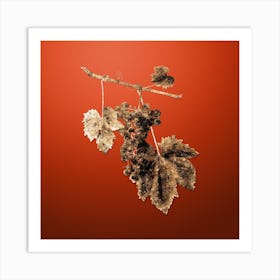 Gold Botanical Grape Colorino on Tomato Red n.0966 Art Print