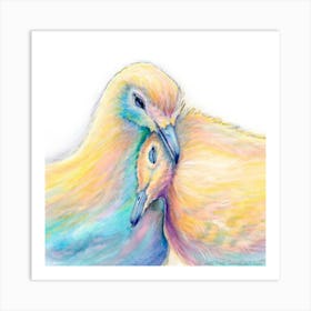 Doves Art Print