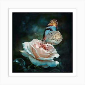 Butterfly On A Rose Art Print