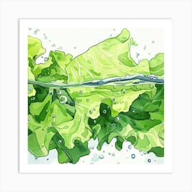 Water Lettuce Illustration Art Print